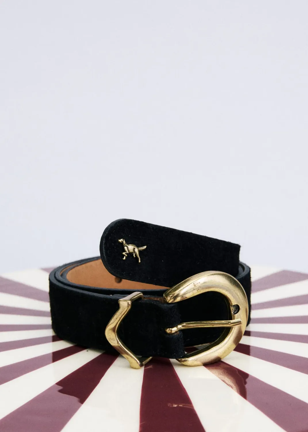 Frnch Inu Belt