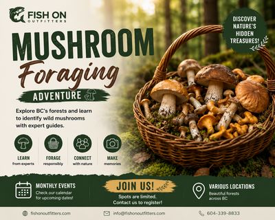 Mushroom Foraging Events