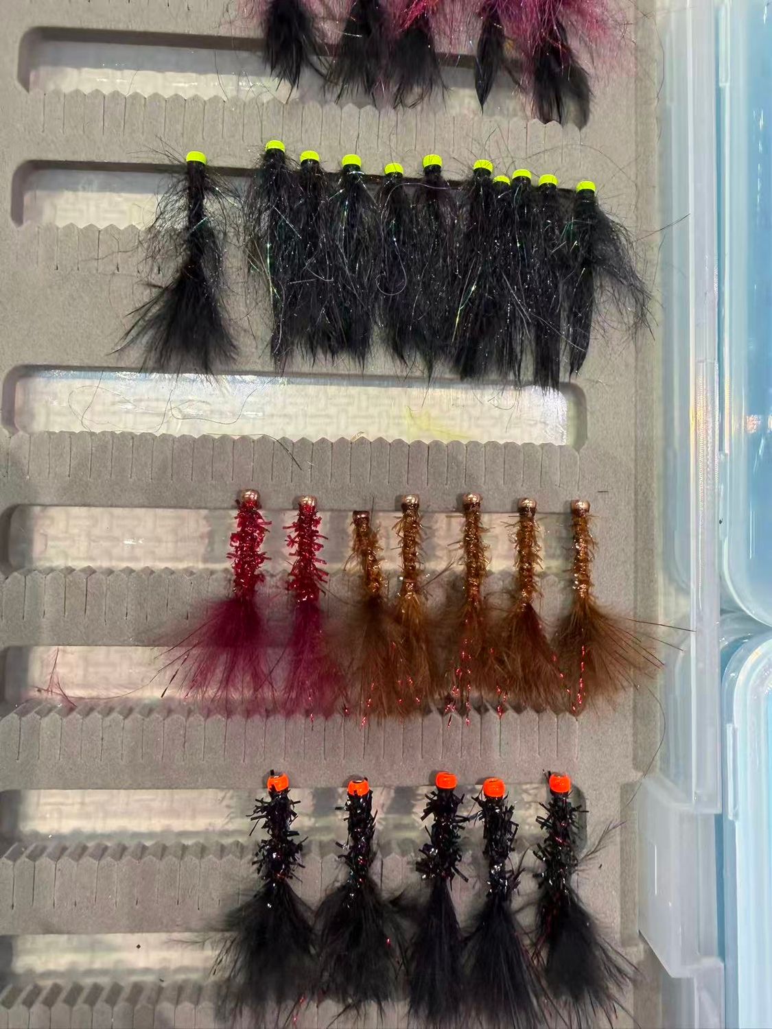 Ken's Leech/Balance