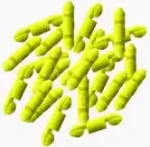 SHUT-OFF STOPPERS 24 PK HI/VIS YELL.