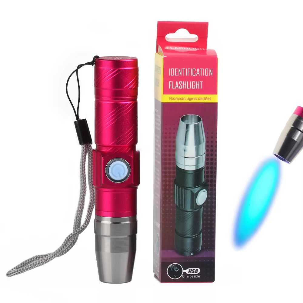 UV Torch