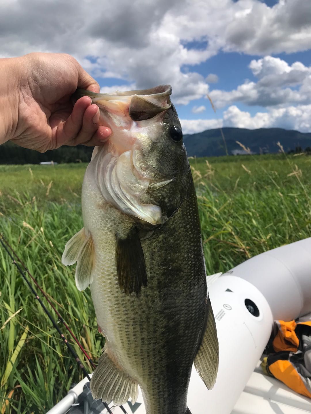 Bass Fishing Trip