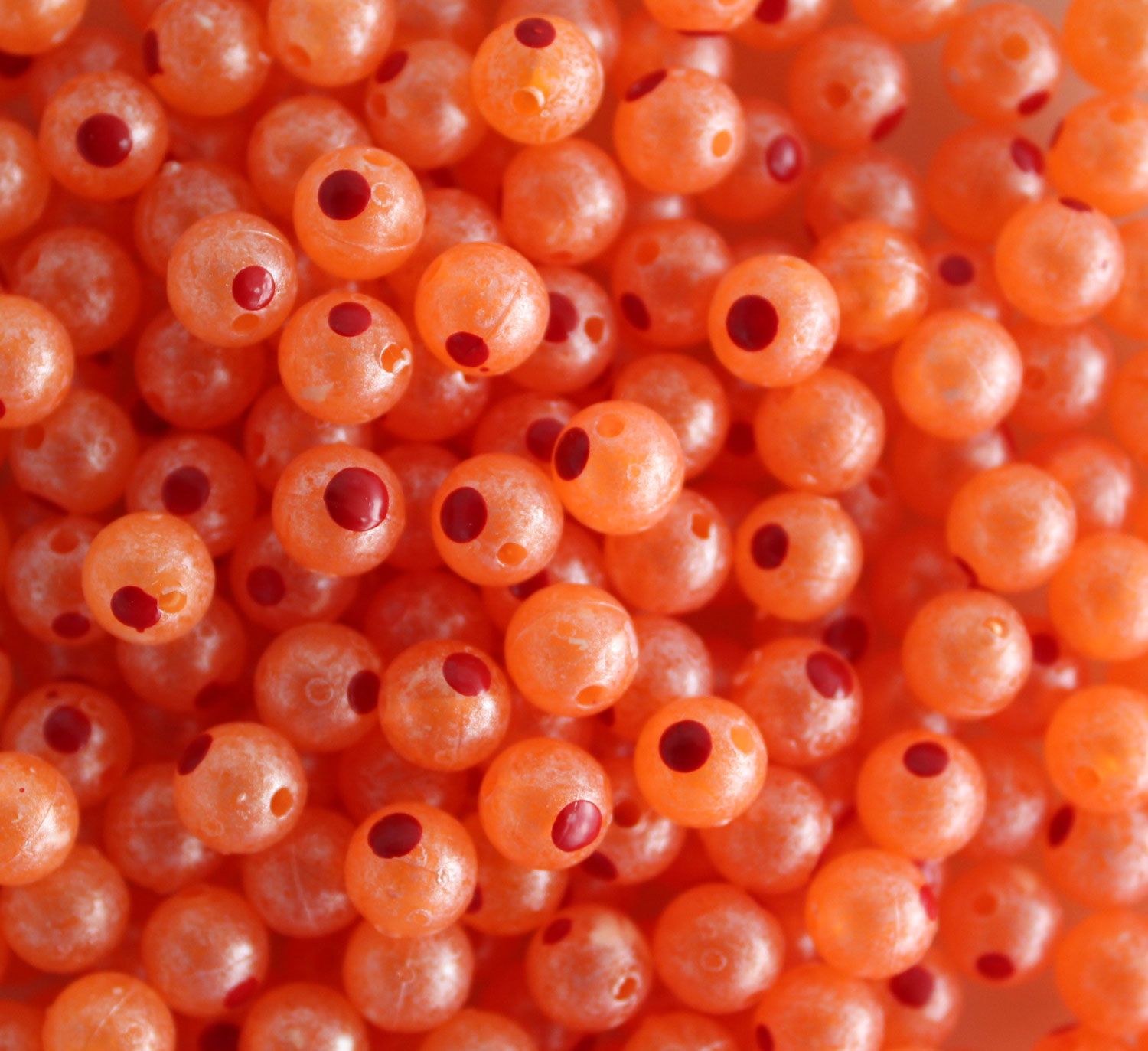 BLOOD DOT EGGS MONTANA ROE