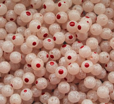 BLOOD DOT EGGS MILT ROE