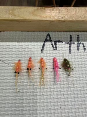 Arthur's flies
