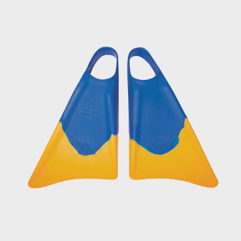 Blue/Gold