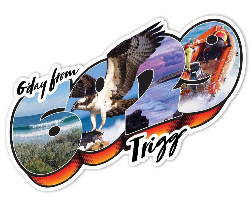 Trigg Sticker