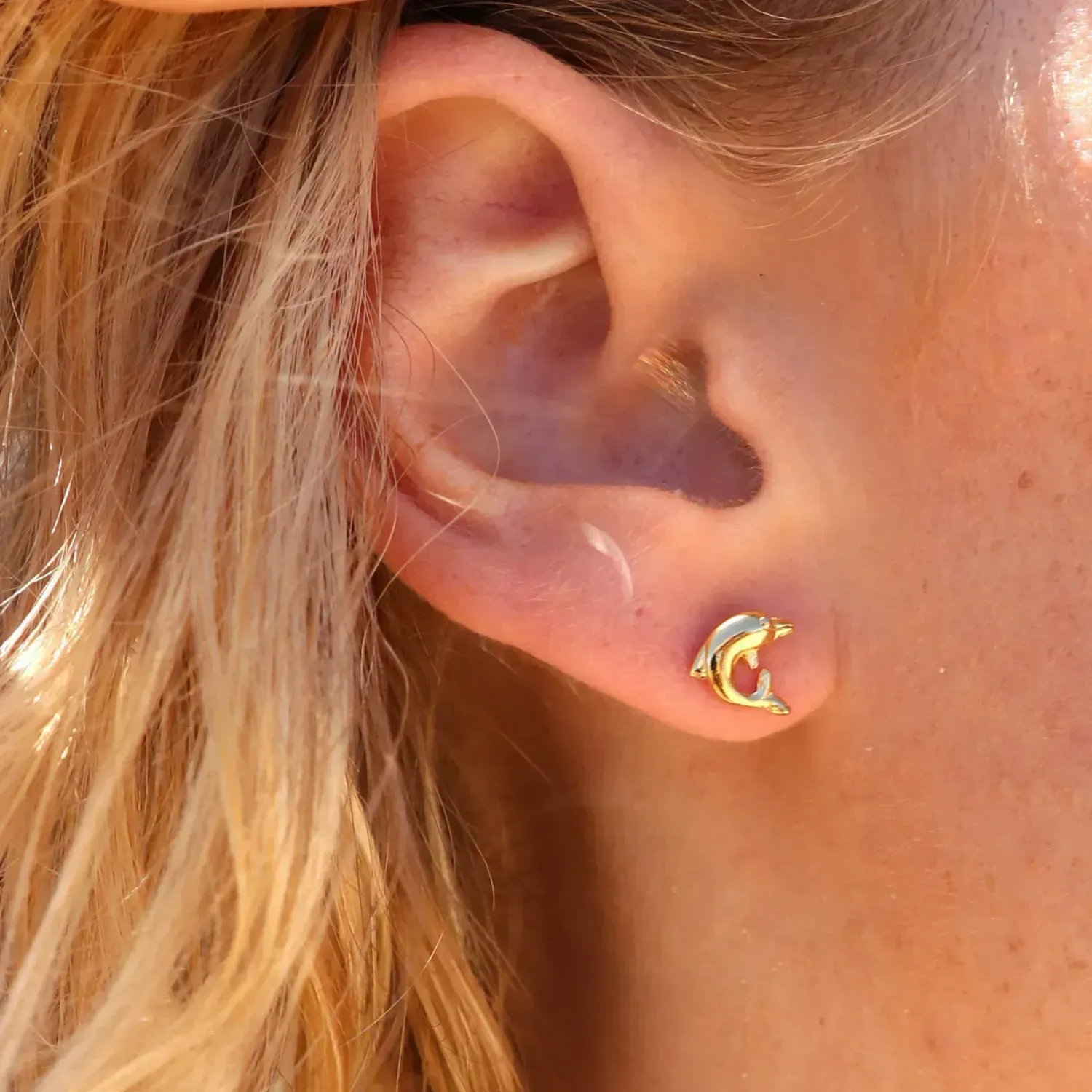 Dolphin Stud Earrings