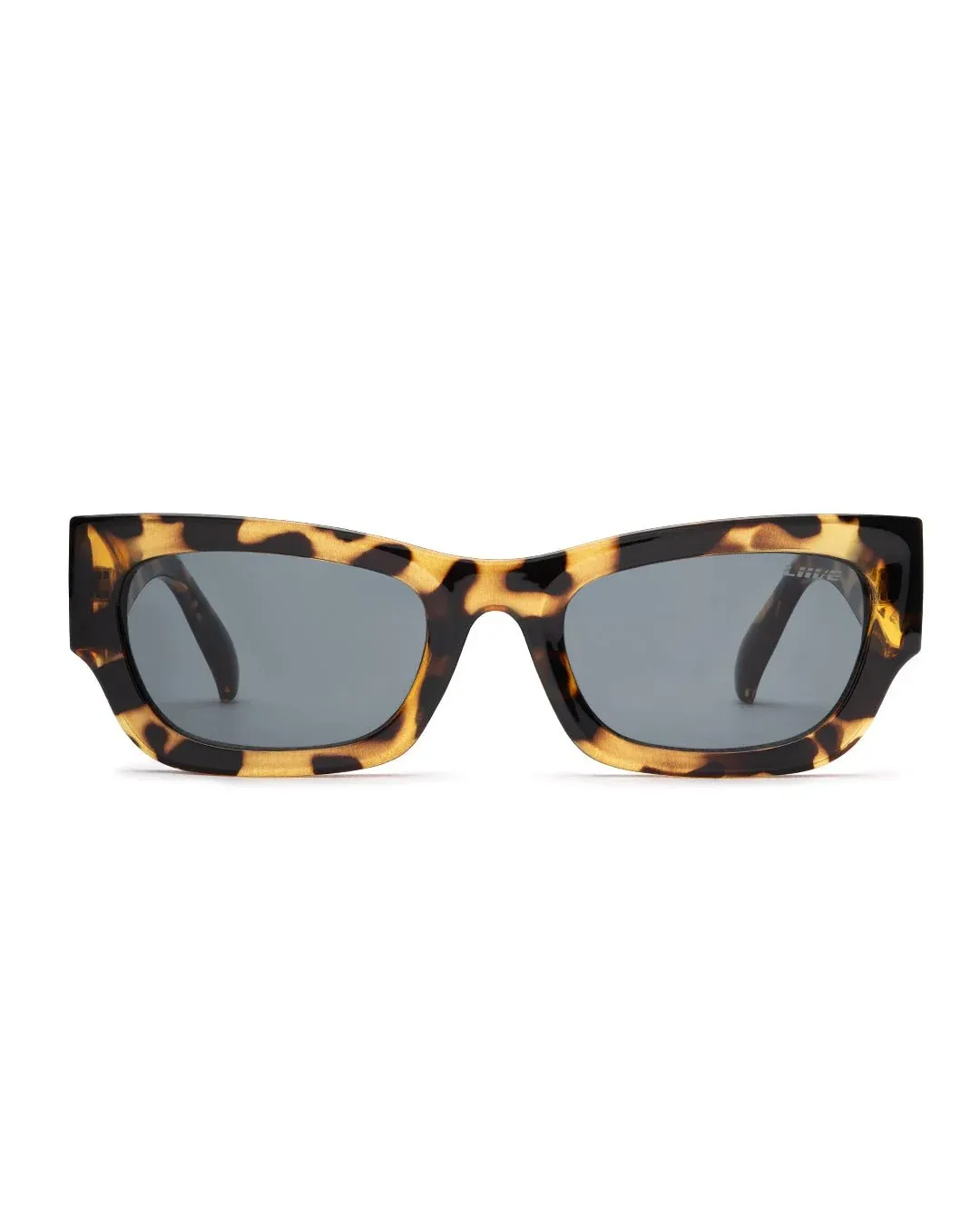 Legian - Polarised Tortoise