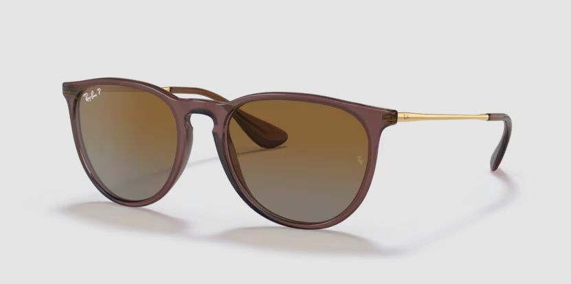 Erika - Transparent Dark Brown Frame Dark Brown Gradient Lenses
