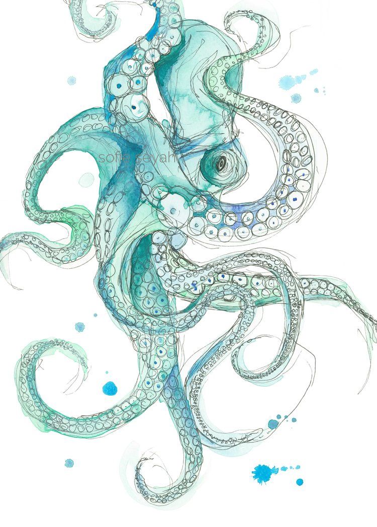 Sofie Seyah A5 Prints