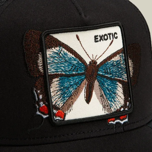 Over the Line Butterfly