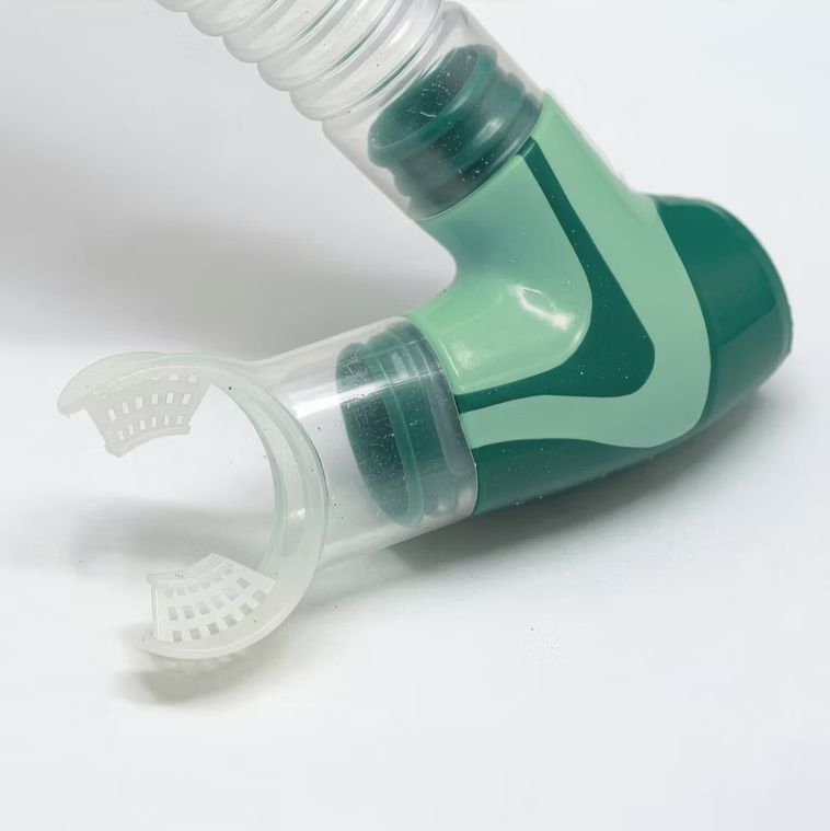 Snapper Mask &amp; Snorkel Set