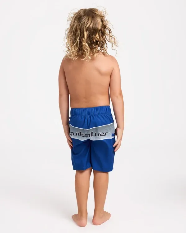 Boys Everyday Billboard Boardshorts