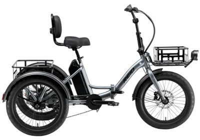 Reid E-Trike