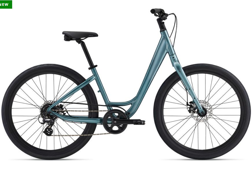Giant Vida Low Step - Hybrid Bike, Colour: SILVER PINE, Size: SMALL