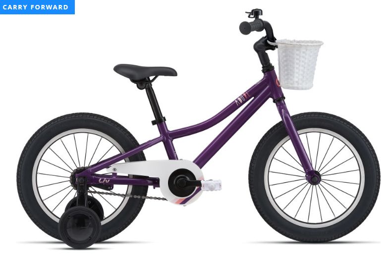 Adore 16", Colour: Plum