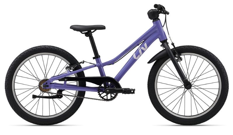 Tempt 20 SS, Colour: Dusted Peri