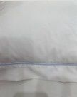 Blue Trim 12x16 Pillow