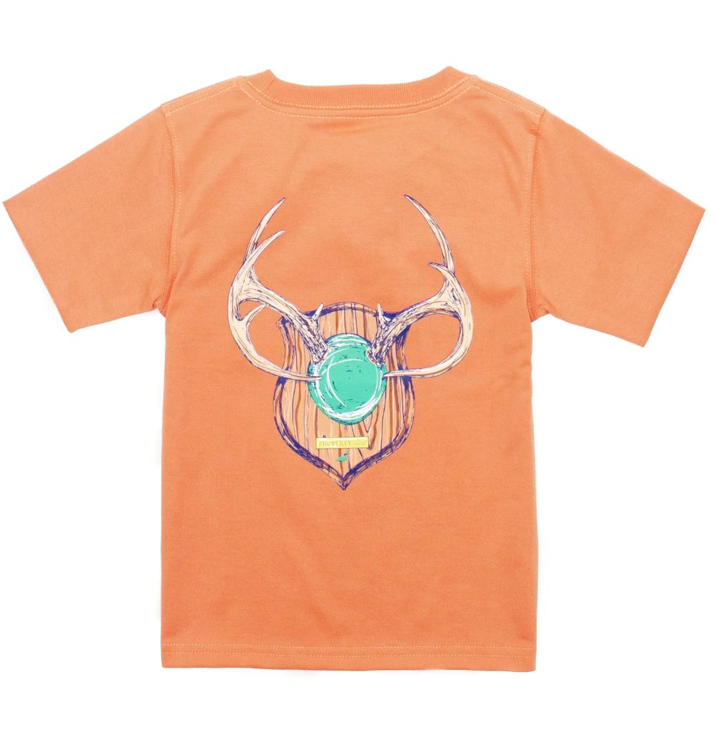 Antler Mount SS Mango T-Shirt, Colors: mango, Size: 4t
