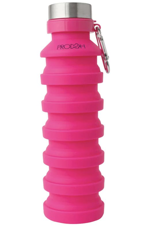 Collapsible Water Bottle