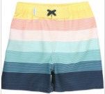 Island Stripe Swim Trunks