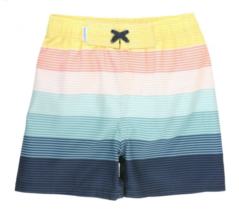 Island Stripe Swim Trunks