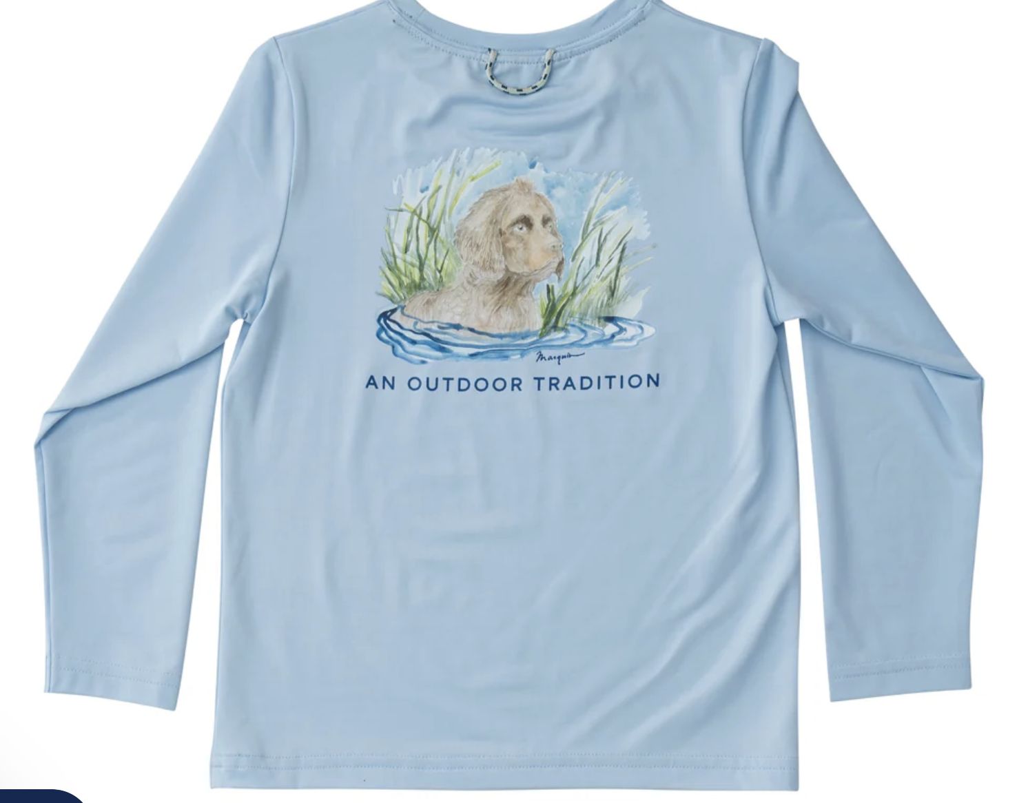 Sky Blue Boykin Spaniel