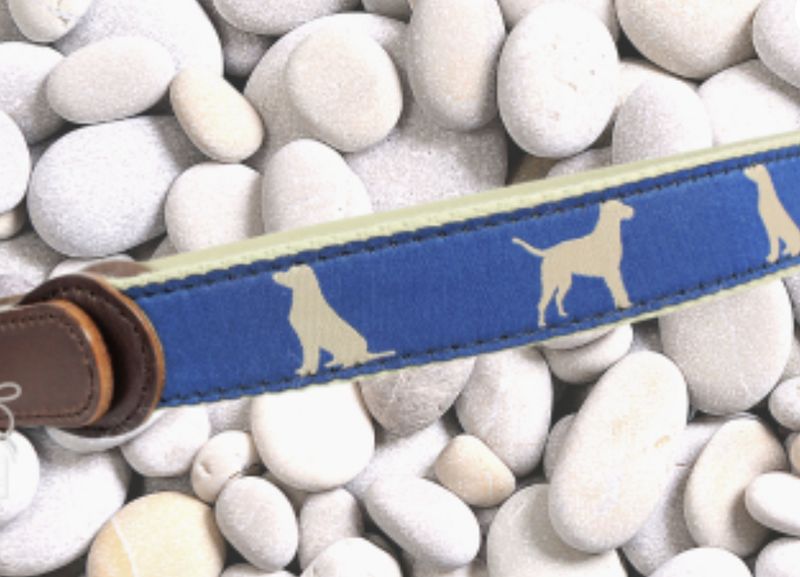 Dog Belt