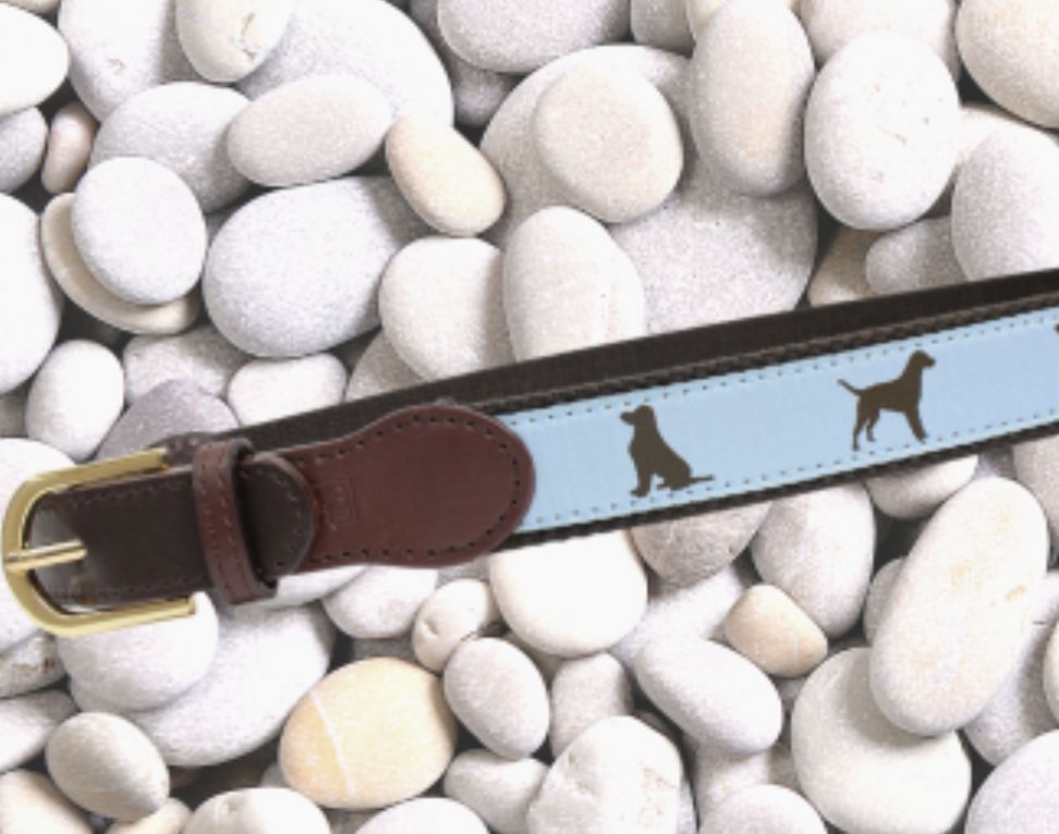 Light Blue Dog Belt