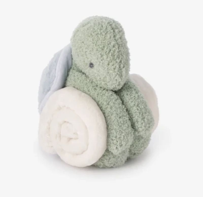 Turtle Plush Toy