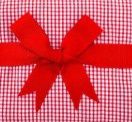 Red Check Fabric Burp
