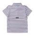 Independence Day Stripe