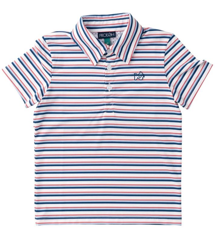 Independence Day Stripe