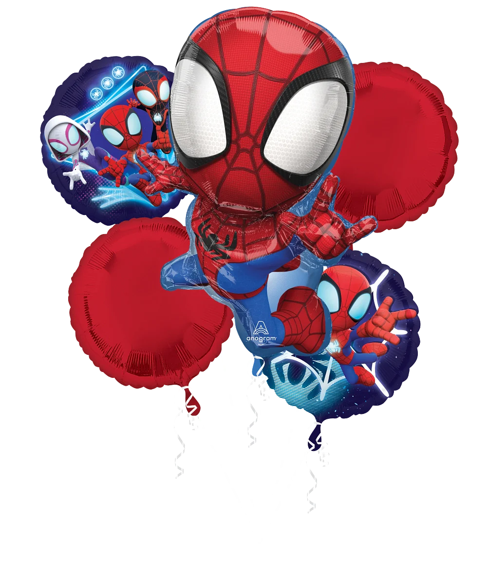 Bquet Spidey &amp; Friends