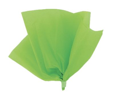 Lime Green Tissue Sheets 10ct