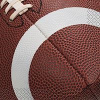 16 FOOTBALL PRTY BEV NAP