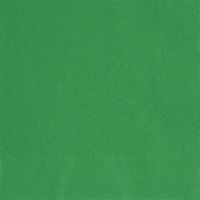 Emerald Green Solid Beverage Napkins 40ct