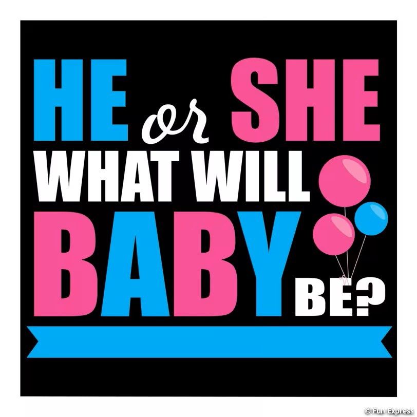 6X6 Gender Reveal Backdrop