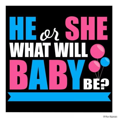 6X6 Gender Reveal Backdrop