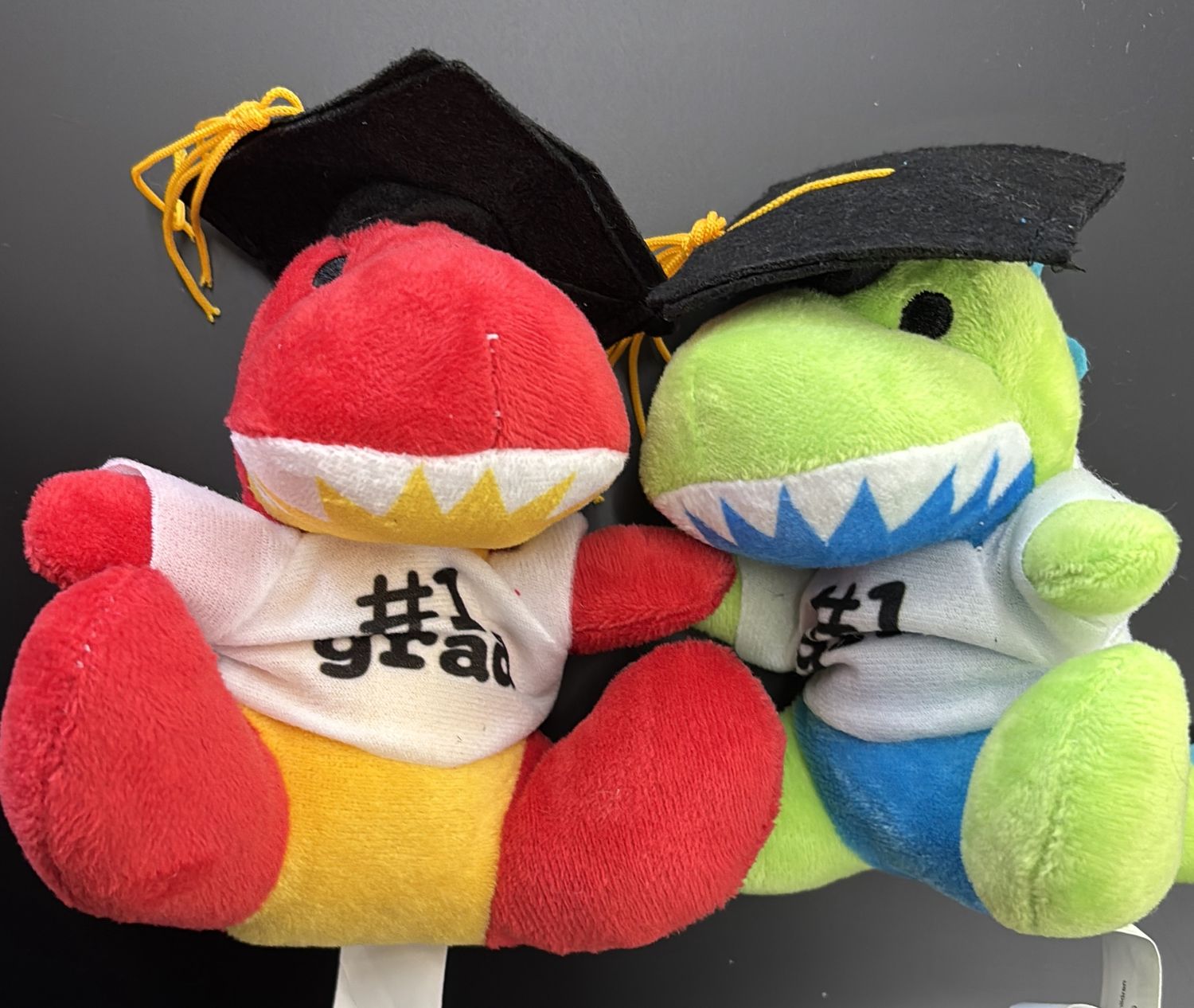 Plush Graduation Dino