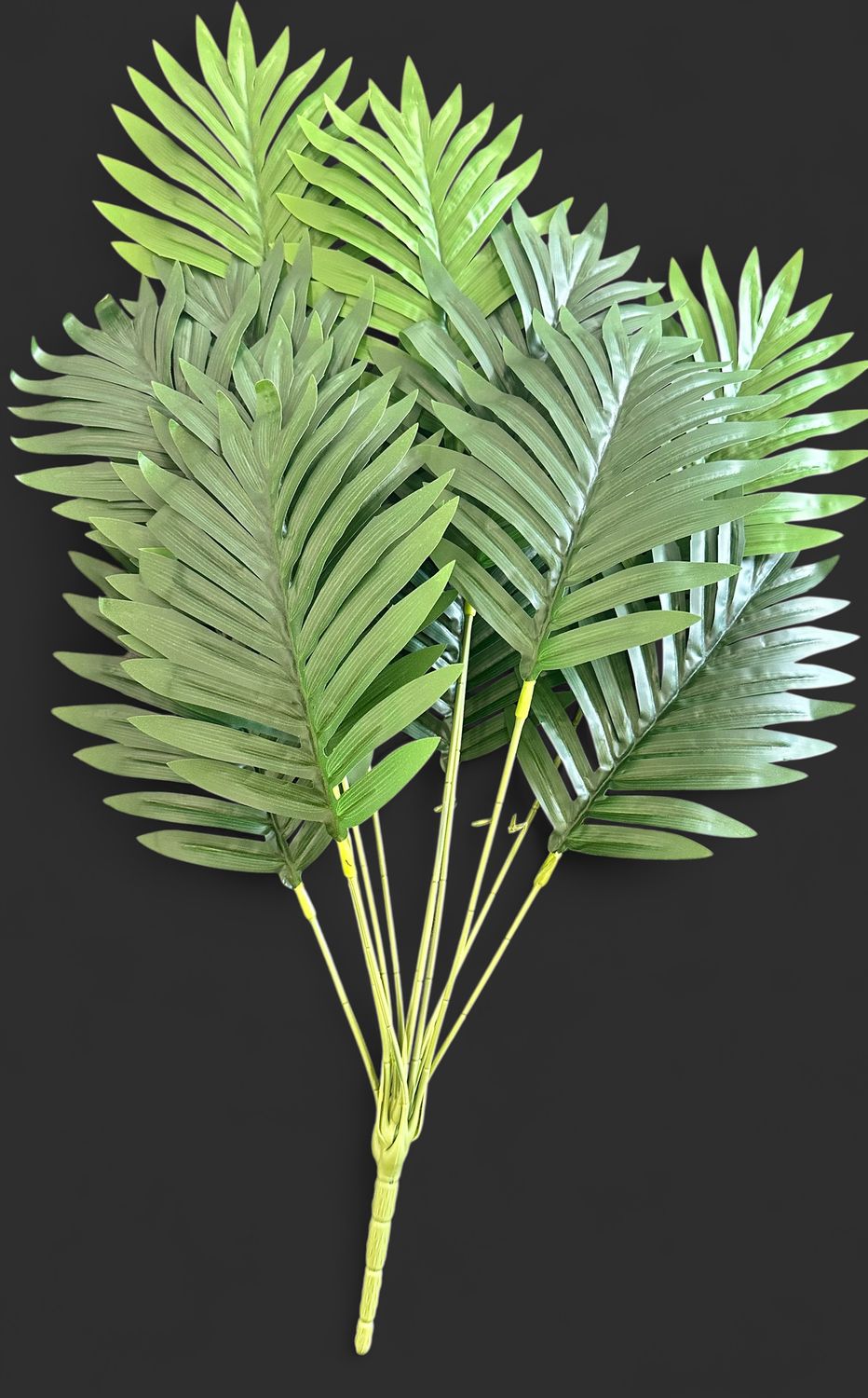 24" 12ct Palm Leaves