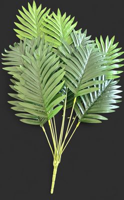 24" 12ct Palm Leaves