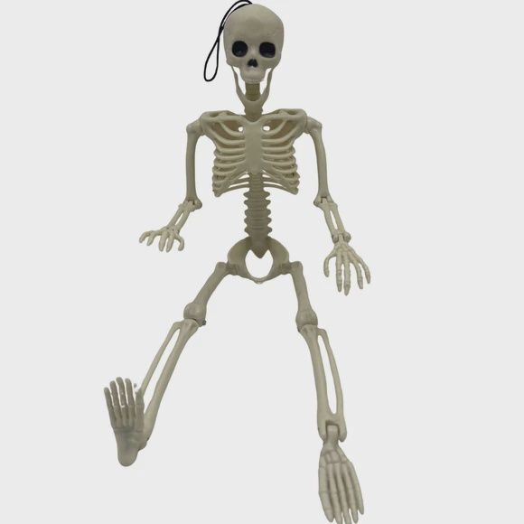 18" Glow in Dark Hanging Skeleton Halloween Decor Prop