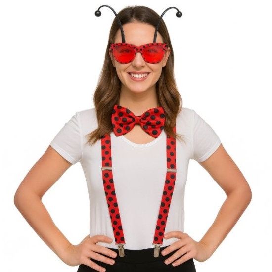 Ladybug Dress-Up Kit