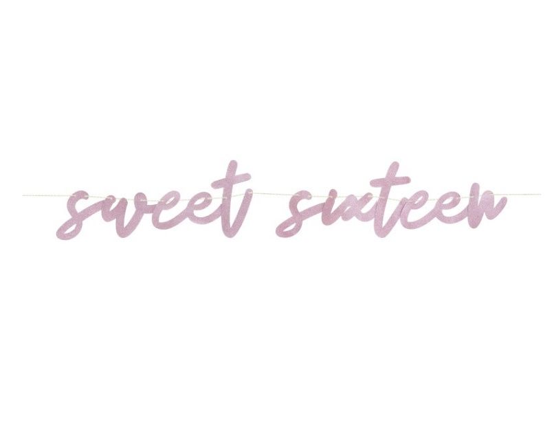 Blush Sweet 16 Banner