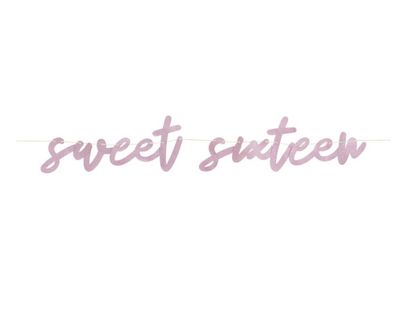 Blush Sweet 16 Banner