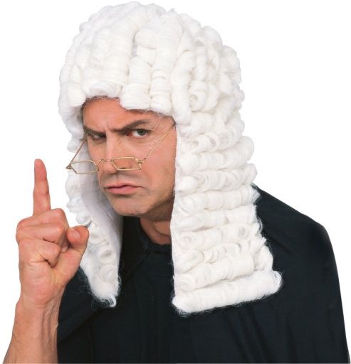 Judge Wig