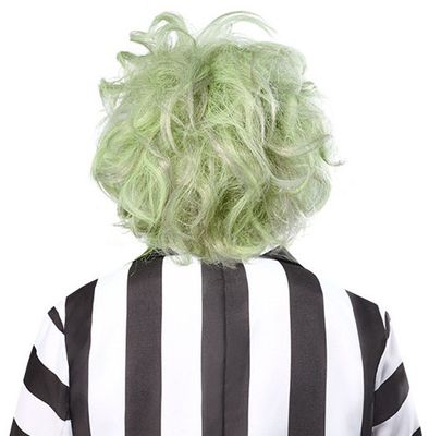 Beetlejuice Adult Wig