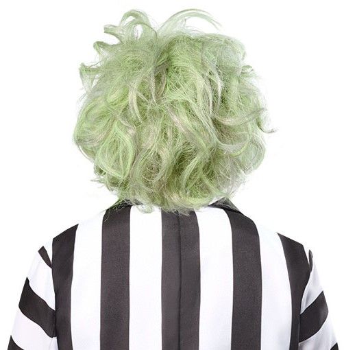 Beetlejuice Adult Wig